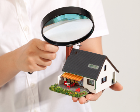 Home Inspection